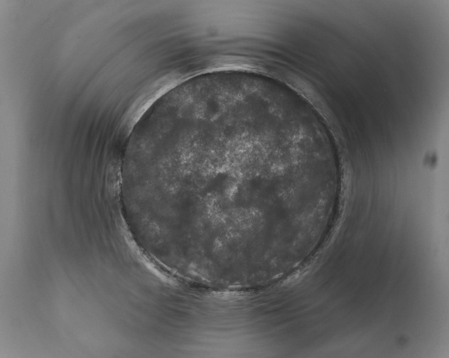 X0000111581377200908061315