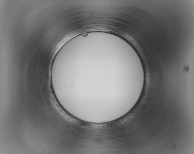 X0000111581378200908061315