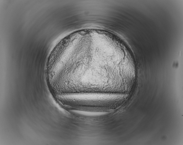 X0000111581379200908061315