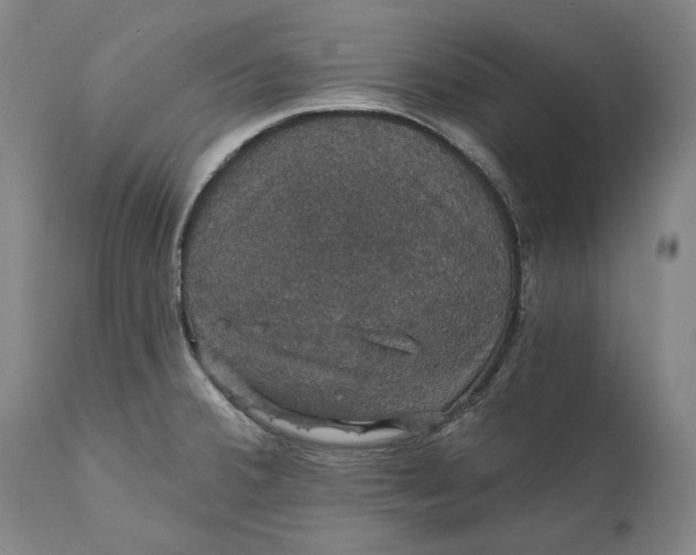 X0000111581380200908061315