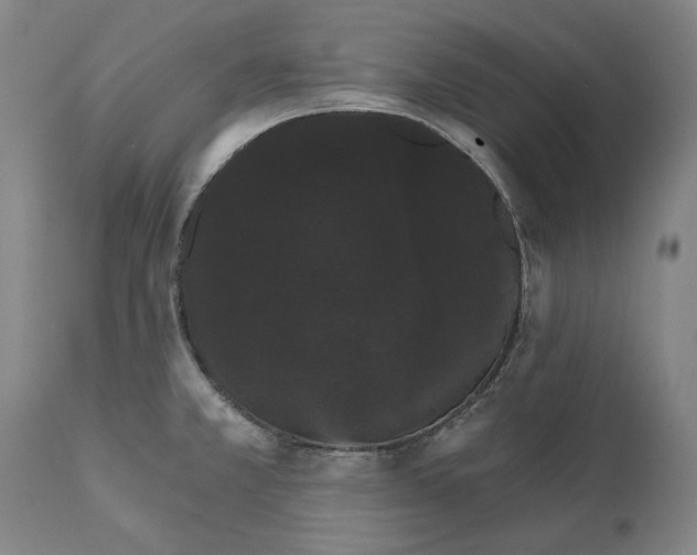 X0000111581381200908061315