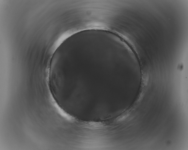 X0000111581383200908061314