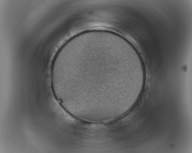 X0000111581384200908061314