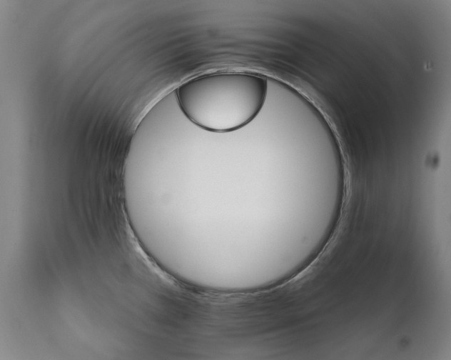 X0000111581385200908061314