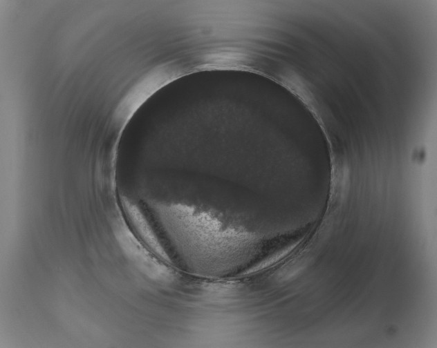 X0000111581386200908061314