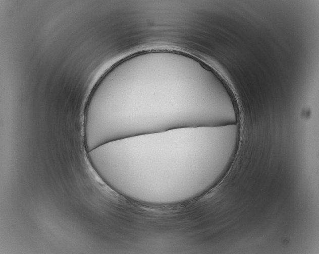 X0000111581388200908061314