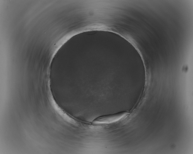 X0000111581389200908061314