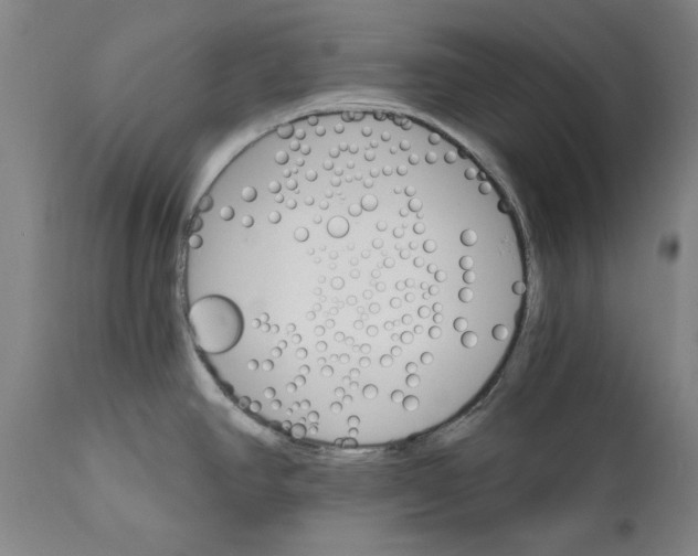 X0000111581390200908061314