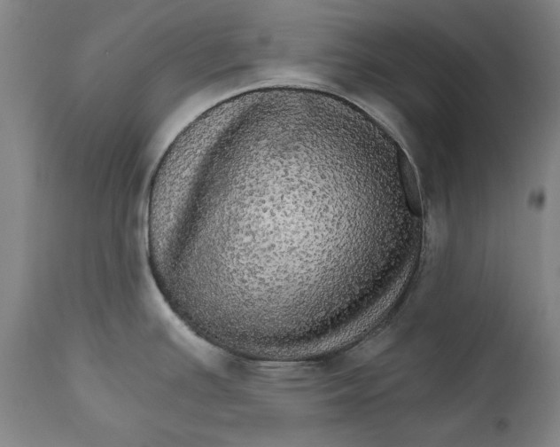 X0000111581391200908061314