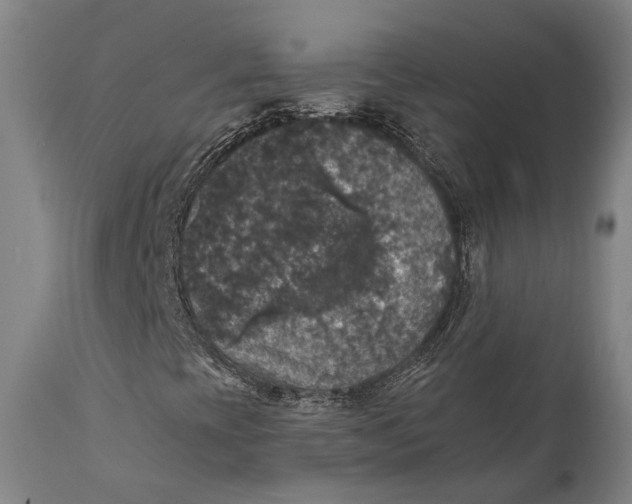 X0000111581393200908061314