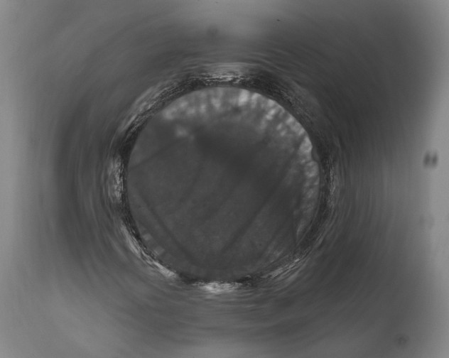 X0000111581394200908061314