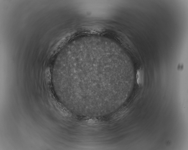 X0000111581395200908061314