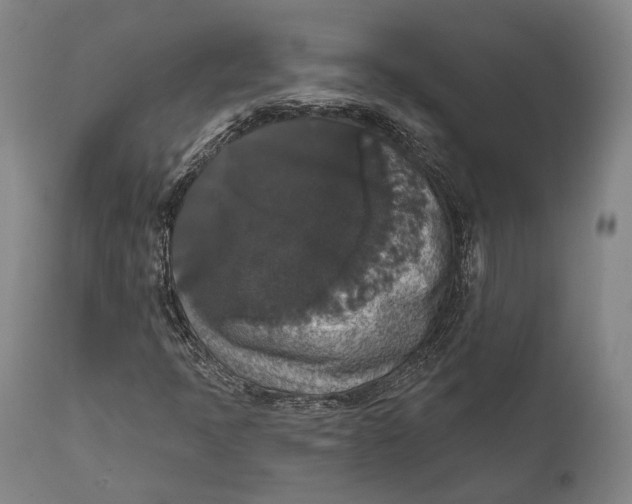 X0000111581397200908061314