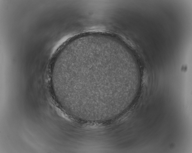 X0000111581400200908061314