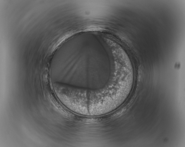 X0000111581401200908061314