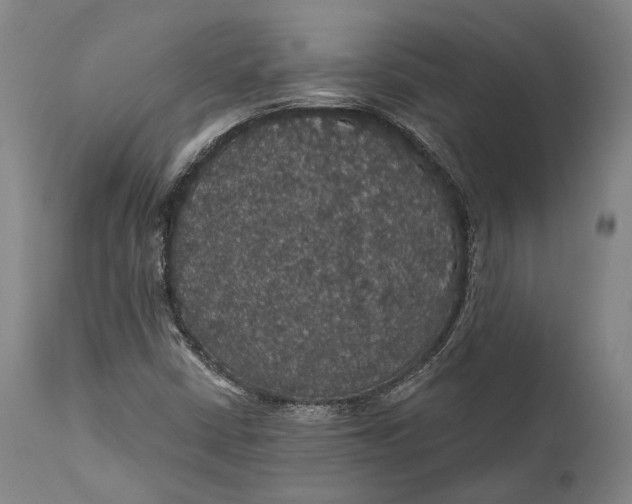 X0000111581402200908061314