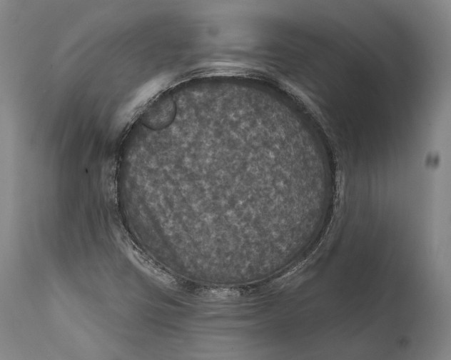 X0000111581403200908061314