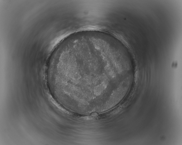 X0000111581404200908061314