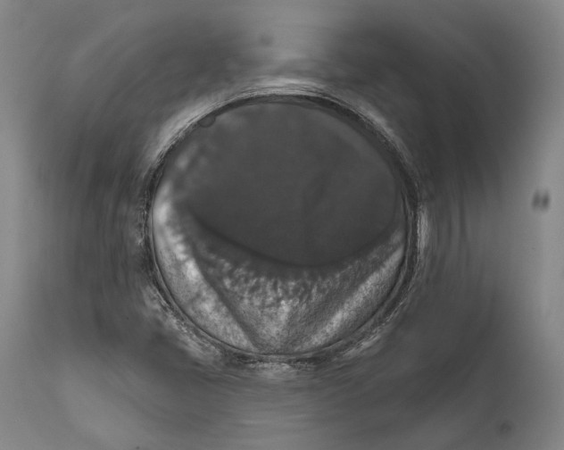 X0000111581405200908061314