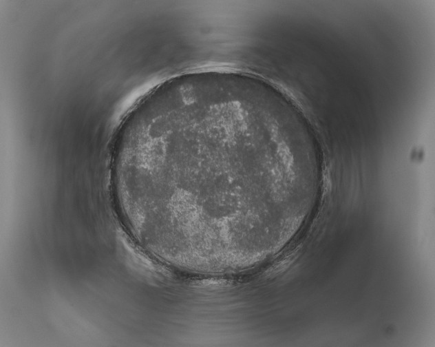 X0000111581406200908061314