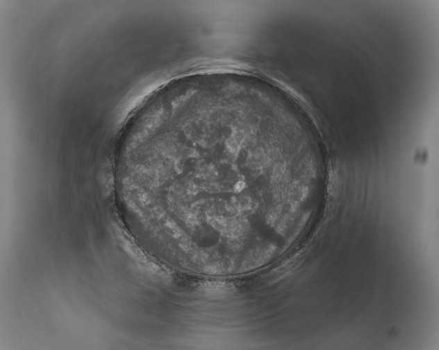 X0000111581407200908061314