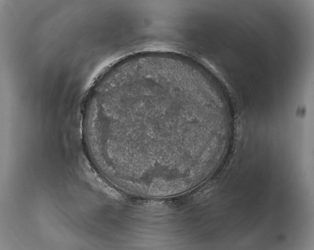 X0000111581408200908061314