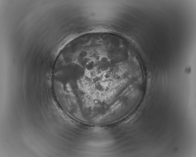 X0000111581409200908061314