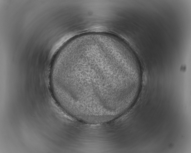 X0000111581410200908061314