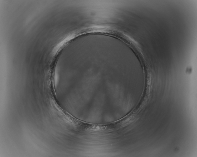 X0000111581411200908061314