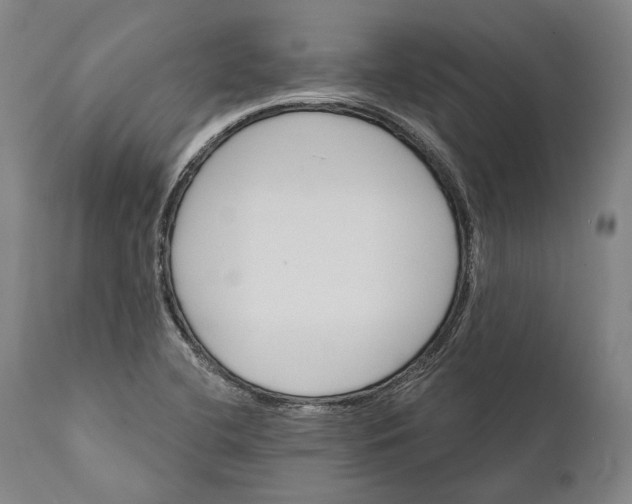 X0000111581412200908061314