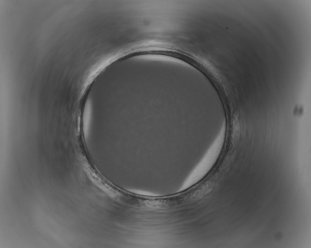 X0000111581413200908061314