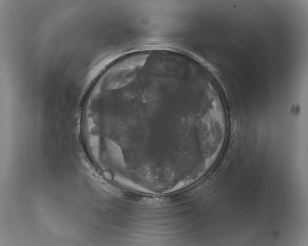 X0000111581415200908061314