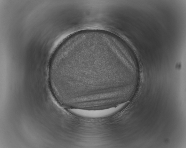 X0000111581416200908061314