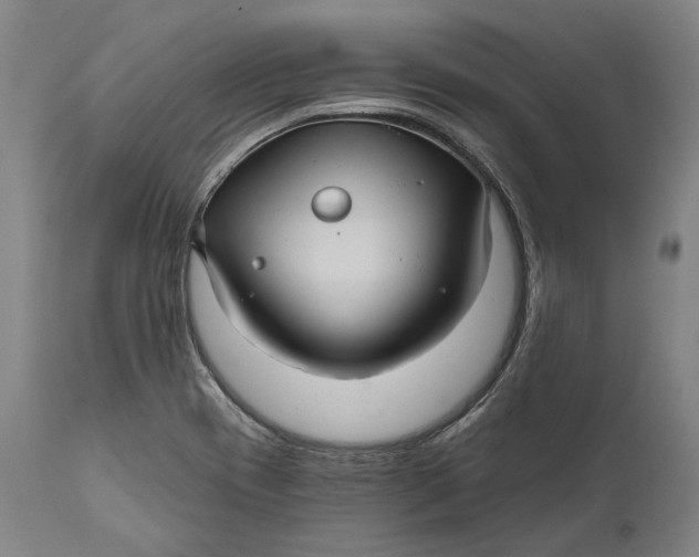 X0000111581417200908061314