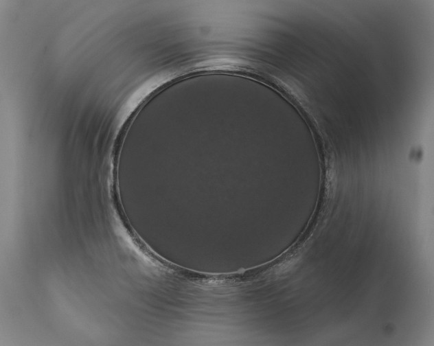 X0000111581418200908061314