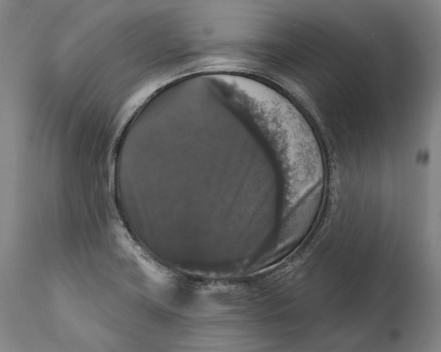 X0000111581419200908061314