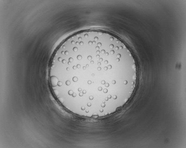 X0000111581420200908061314