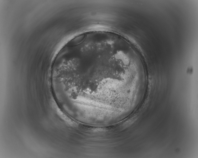 X0000111581421200908061314