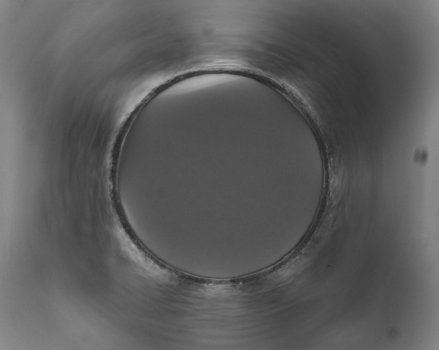 X0000111581422200908061314