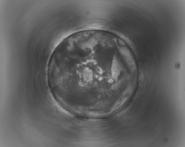 X0000111581423200908061314