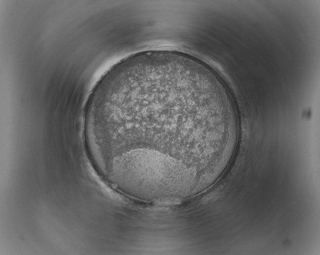 X0000111581424200908061314