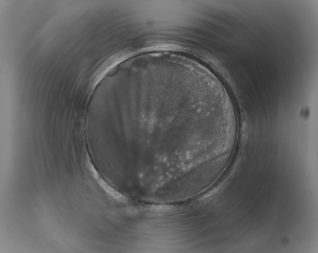 X0000111581425200908061314