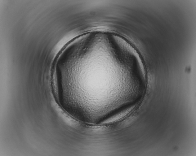 X0000111581426200908061314