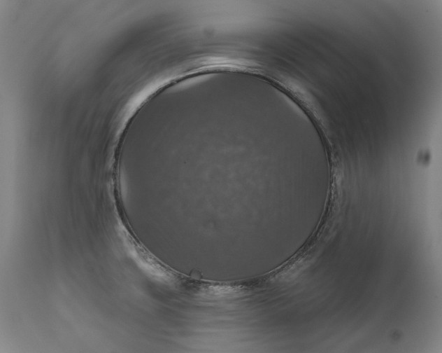 X0000111581427200908061314