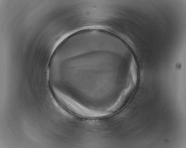 X0000111581428200908061314