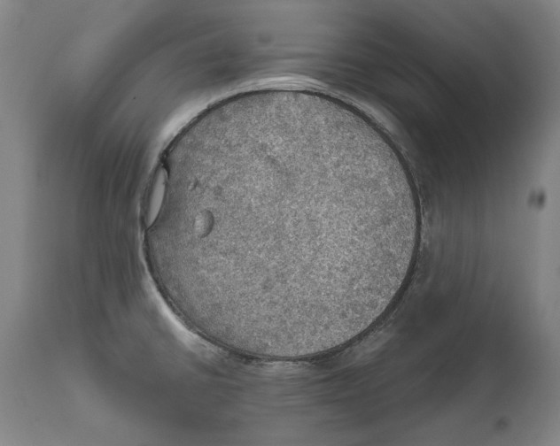 X0000111581430200908061314