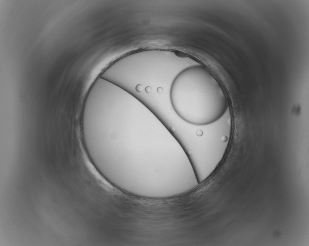 X0000111581432200908061314