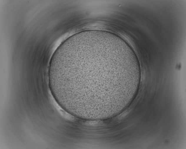 X0000111581434200908061314