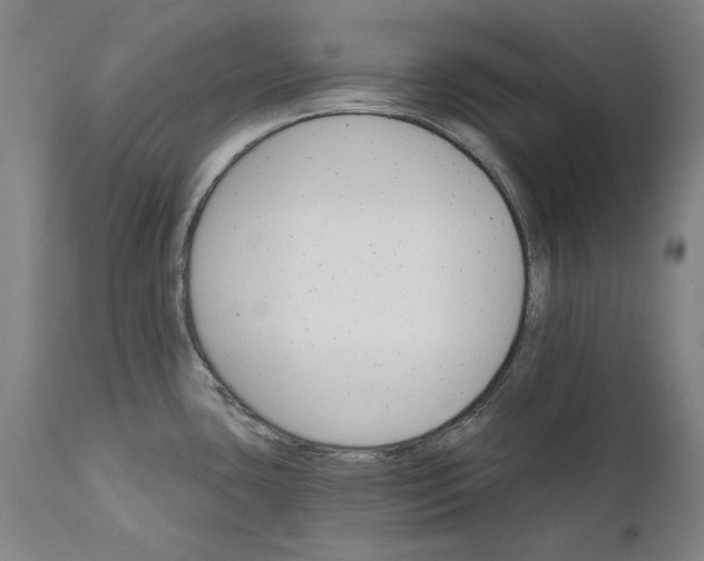 X0000111581435200908061314