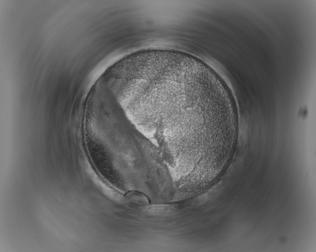 X0000111581437200908061314